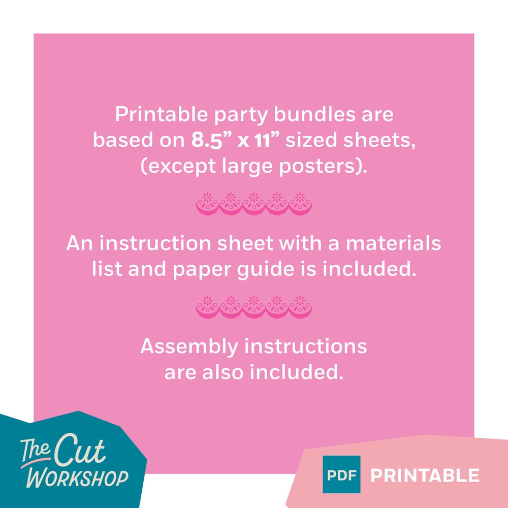 Encanto Birthday Party Printable Bundle - 16 ITEM Bundle - PINK Theme - PDF Instant Digital Download - 3.jpg