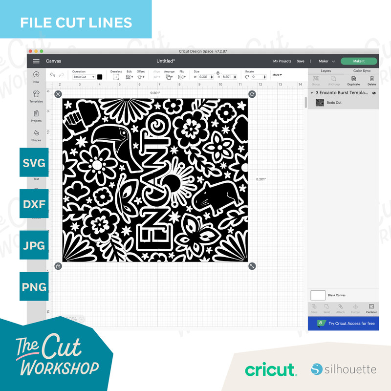 Encanto Burst Tumbler Template, Seamless Design  20oz Straight Skinny Tumbler  Cut File SVG PNG DXF jpg  Sublimation  Double sided tape - 3.jpg