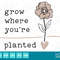 Grow Where You're Planted SVG Flower Clipart Spring Art Decor Instant Digital Download  dxf jpg png eps - 1.jpg