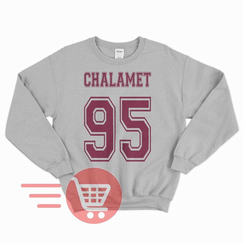 MR-78202394858-timothee-chalamet-sweatshirt-timothee-chalamet-sweater-sport-grey.jpg