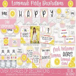 Pink Lemonade Birthday Party Decorations, Pink Lemonade Party Sign, Lemonade Stand, Summer Birthday Party, Girls First