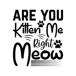 are you kitten me right meow svg, pet svg, cat svg, cat lover svg, cute cats svg