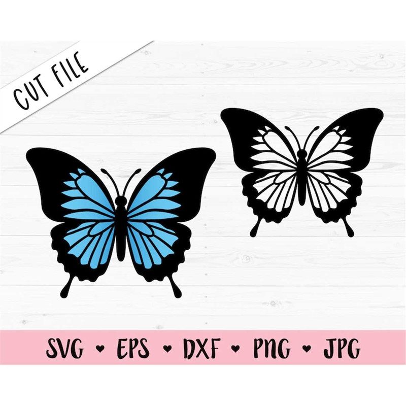 MR-782023174340-butterfly-svg-light-blue-butterfly-cut-file-monarch-image-1.jpg