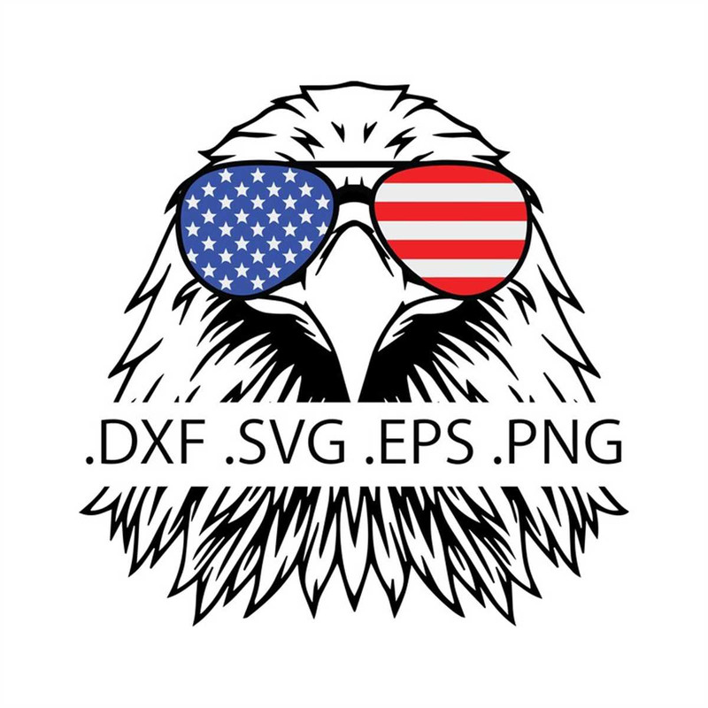 MR-782023183020-bald-eagle-with-us-flag-aviator-sunglasses-patriotic-image-1.jpg