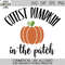 MR-782023211622-cutest-pumpkin-svg-pumpkin-patch-svg-halloween-svg-fall-image-1.jpg