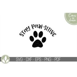 stay pawsitive svg - dog svg - stay positive svg - paw print svg - dog lover svg - animal lover svg - fur baby svg - pet