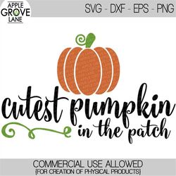 cutest pumpkin svg - pumpkin patch svg - halloween svg - kids fall svg - kids halloween svg - svg eps dxf png