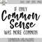 MR-88202324234-common-sense-svg-sarcastic-svg-humor-svg-common-sense-image-1.jpg