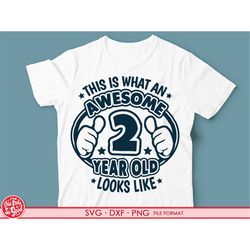turning 2 year old svg, 2nd birthday svg shirt svg, 2nd birthday png, svg, dxf clipart files. 2nd birthday shirt decal p