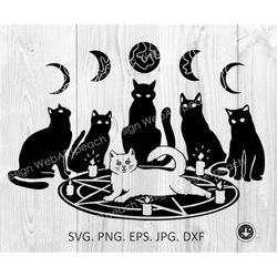 mystical cat ritual svg, witchcraft witch circle svg png, pagan svg, magic cats cut cricut file moon cat svg,cat svg fil