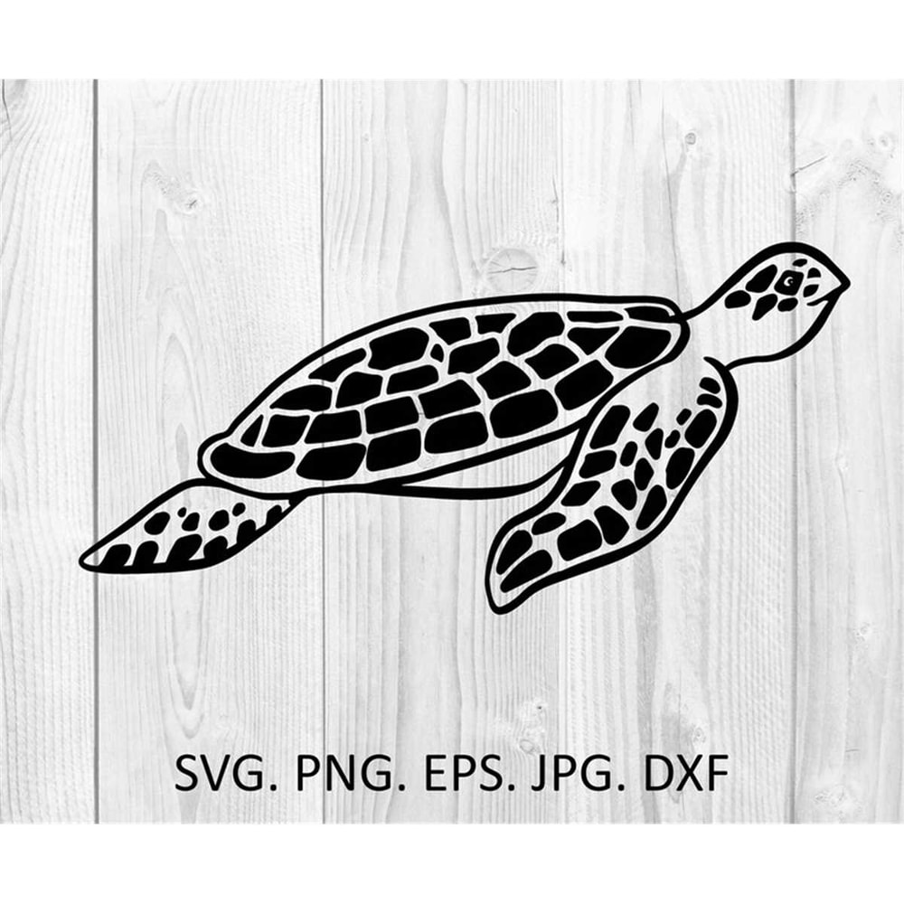 MR-88202385834-turtle-svg-beach-summer-svg-cricut-clipart-cricut-svg-sea-image-1.jpg