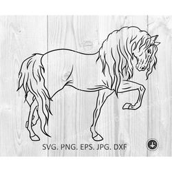 beautiful horse svg file for cricut silhouette horse head body svg eps dxf png instant download mustang equestrian sport