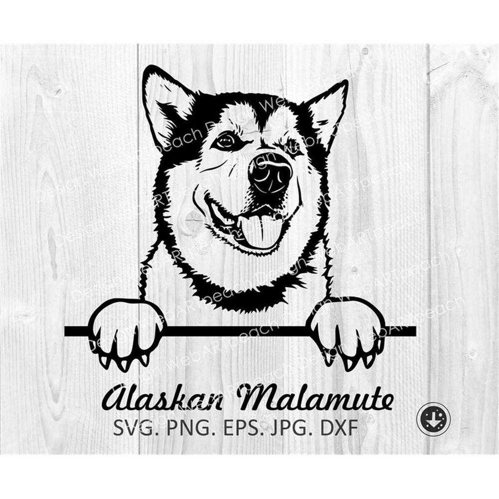 MR-8820239943-alaskan-malamute-svgpeeking-dog-portrait-clipart-cut-image-1.jpg