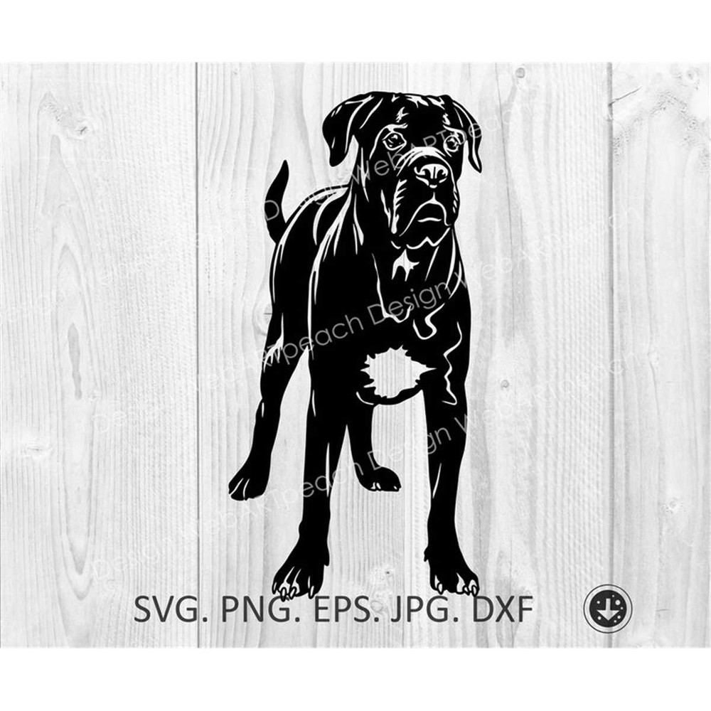 MR-88202392424-cane-corso-svg-dog-svg-cane-corso-puppy-cut-files-cane-image-1.jpg