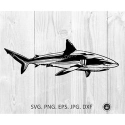 shark svg, shark clipart, sharks mascot svg, shark png great white shark silhouette cut file dxf shark clip art cricut s