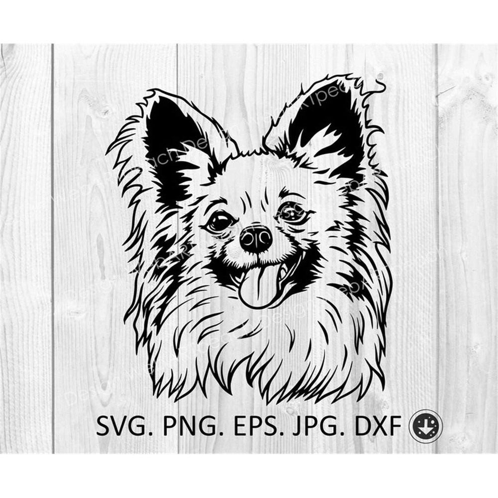 MR-88202394249-papillon-svgpngeps-peeking-dog-cut-file-svgpapillon-image-1.jpg