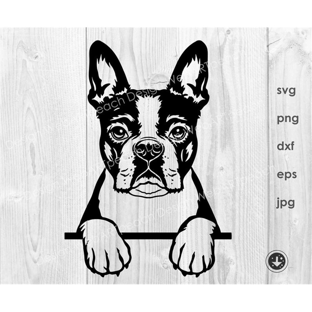 MR-88202395120-boston-terrier-svg-file-boston-terrier-peeking-paws-clipart-image-1.jpg
