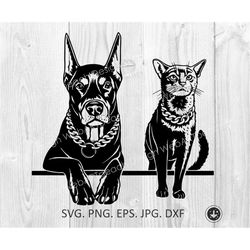 doberman svg, peeking dog breed, doberman and cat. pedigree canine purebred pet .svg eps png clipart vector cricut cut c