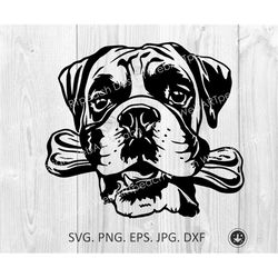 boxer svg, peeking boxer dog breed, boxer with bone teeth, cute funny boxer,head,clipart,vector,cricut,print file,downlo