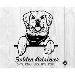 golden retriever svg,peeking smiling dog,breed animal pet puppy paws labrador pedigree cute logo,svg,png clipart vector
