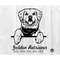 MR-882023111432-golden-retriever-svgpeeking-smiling-dogbreed-animal-pet-image-1.jpg
