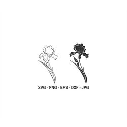 iris flower svg,iris silhouette,instant download,svg, png, eps, dxf, jpg digital download