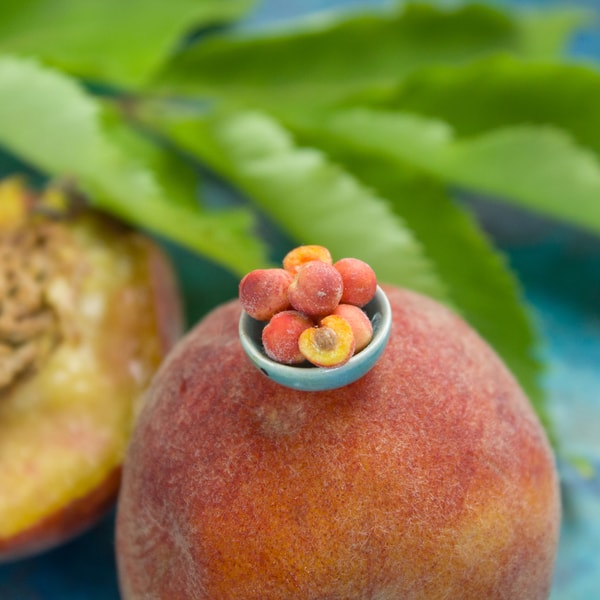 TUTORIAL Miniature peaches with polymer clay | Miniature foo - Inspire ...