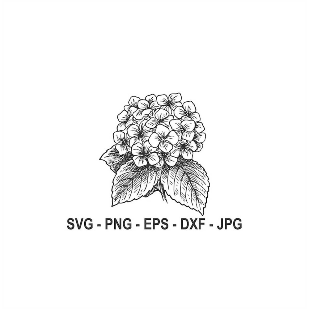 MR-88202320729-hydrangea-flower-svghydrangea-silhouetteinstant-image-1.jpg
