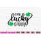 MR-88202320204-one-lucky-daddy-svg-st-patricks-day-svg-lucky-dad-svg-dad-image-1.jpg
