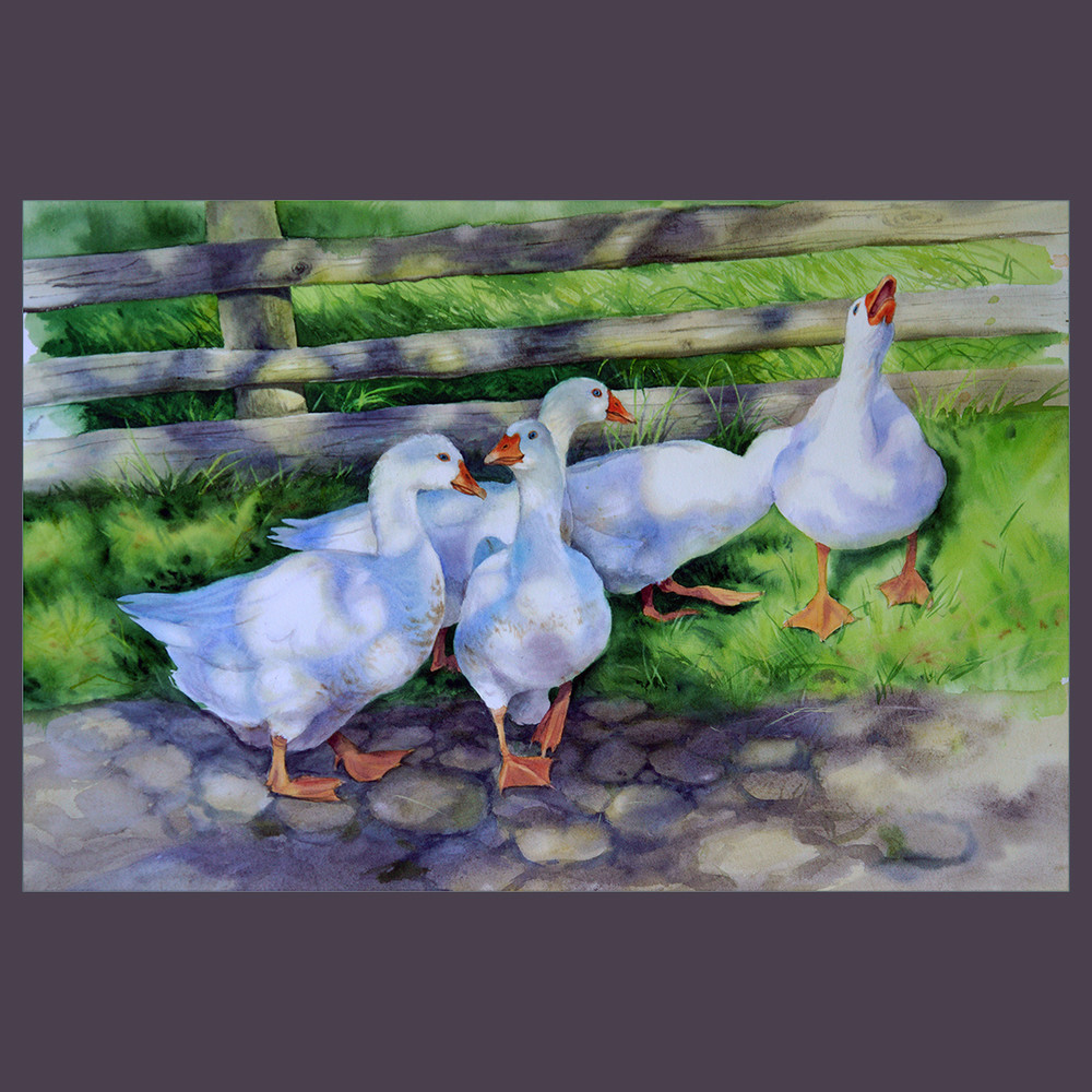 flock of white domestic geese watercolor by olga beliaeva.jpg