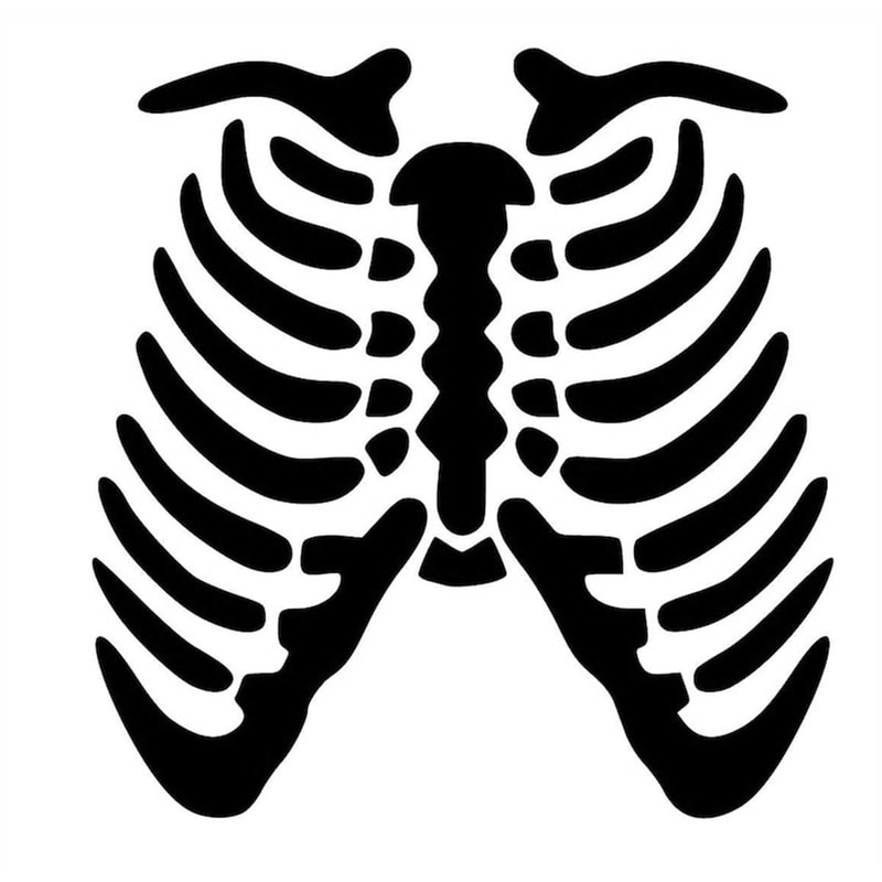 Skeleton Rib Cage SVG PDF PNG Eps Dxf File - Custom Design | Inspire Uplift