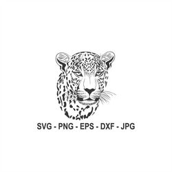leopard svg,animal svg,instant download,svg, png, eps, dxf, jpg digital download
