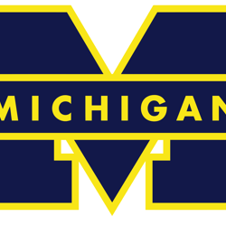 logo michigan wolverines svg, ncaa logo svg, sport svg, png dxf eps digital file
