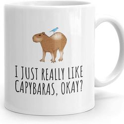 passionwear funny capybara mug - capybara lover gift idea - capybara gift - i just really like