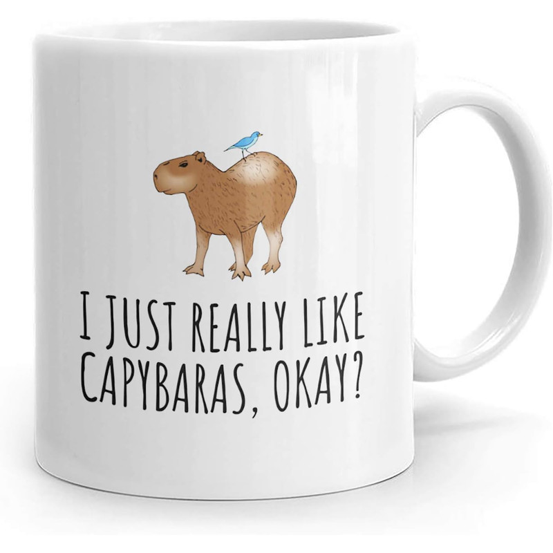 PassionWear Funny Capybara Mug - Capybara Lover Gift Idea - Capybara Gift - I Just Really Like.jpg