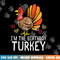 Im Birthday Turkey Funny Happy Thanksgiving Men Women Kids png, sublimation copy.jpg