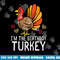 Im Birthday Turkey Funny Happy Thanksgiving Men Women Kids png, sublimation copy.jpg