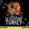 Im Birthday Turkey Funny Happy Thanksgiving Men Women Kids png, sublimation copy.jpg