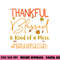 Instructional Coach Thankful Blessed and Kind of a Mess png, sublimation copy.jpg