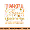 Instructional Coach Thankful Blessed and Kind of a Mess png, sublimation copy.jpg