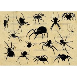 digital svg png jpg spiders, vector, clipart, silhouette, instant download