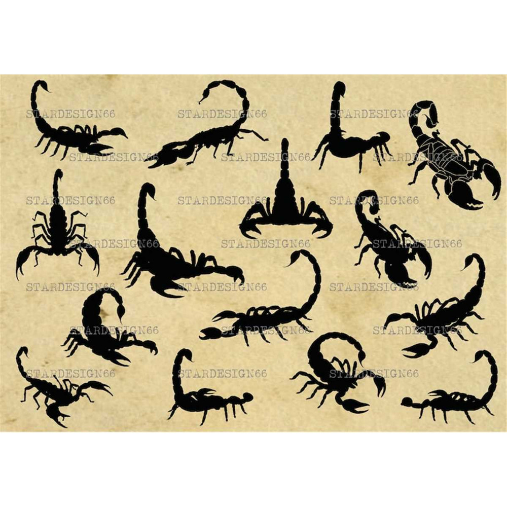 MR-11820239212-digital-svg-png-jpg-scorpions-silhouette-vector-clipart-image-1.jpg