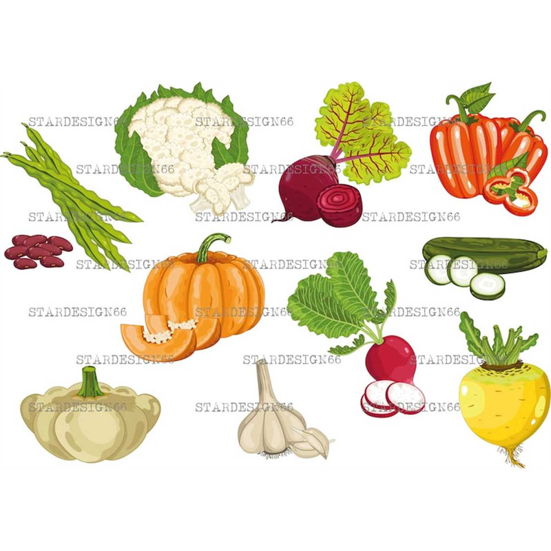 MR-11820239242-digital-eps-png-jpg-vegetables-cauliflower-pepper-beet-image-1.jpg