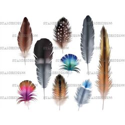 digital eps png jpg feathers, vector, clipart, silhouette, instant download