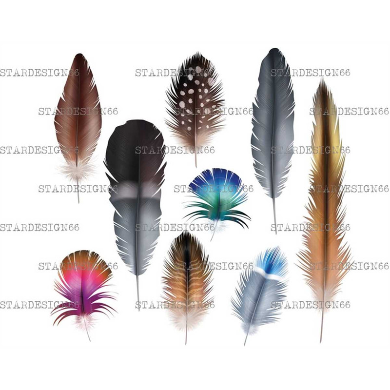 MR-118202394839-digital-eps-png-jpg-feathers-vector-clipart-silhouette-image-1.jpg