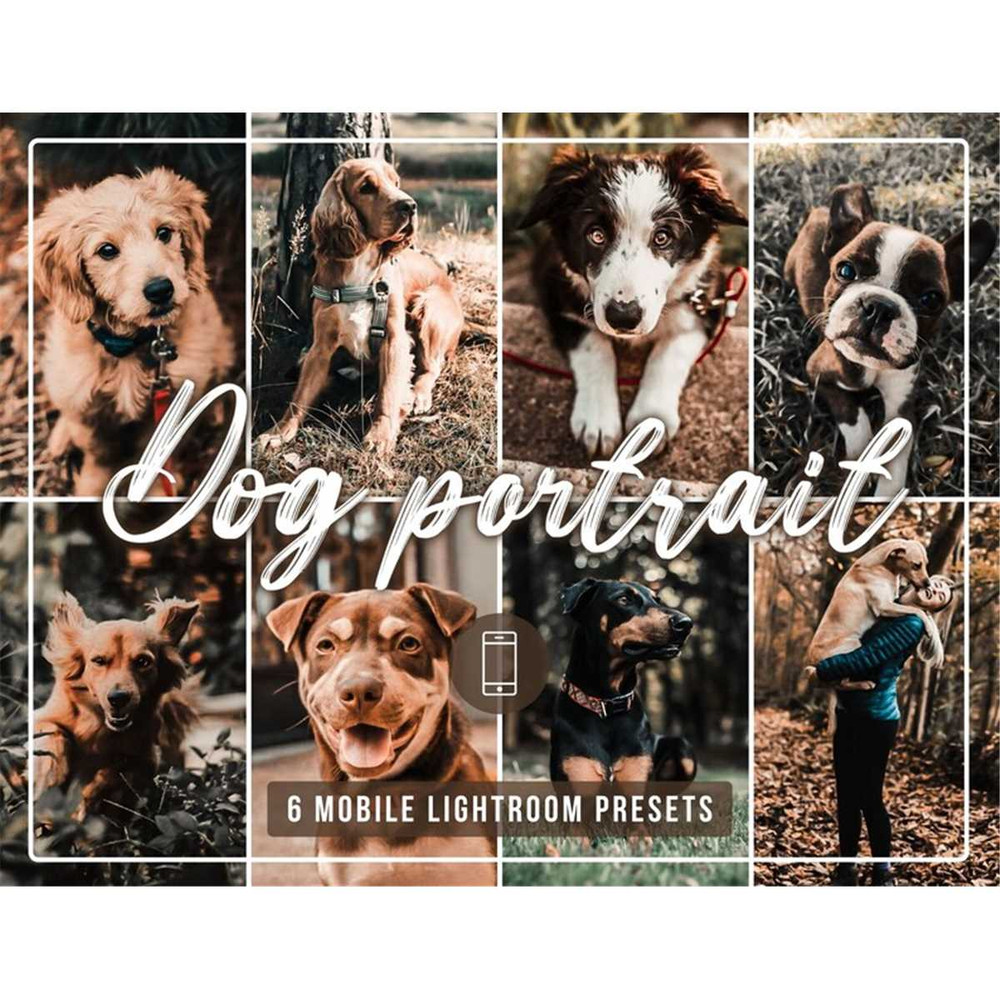 MR-118202394914-6-dog-portrait-mobile-lightroom-presets-dark-moody-presets-image-1.jpg