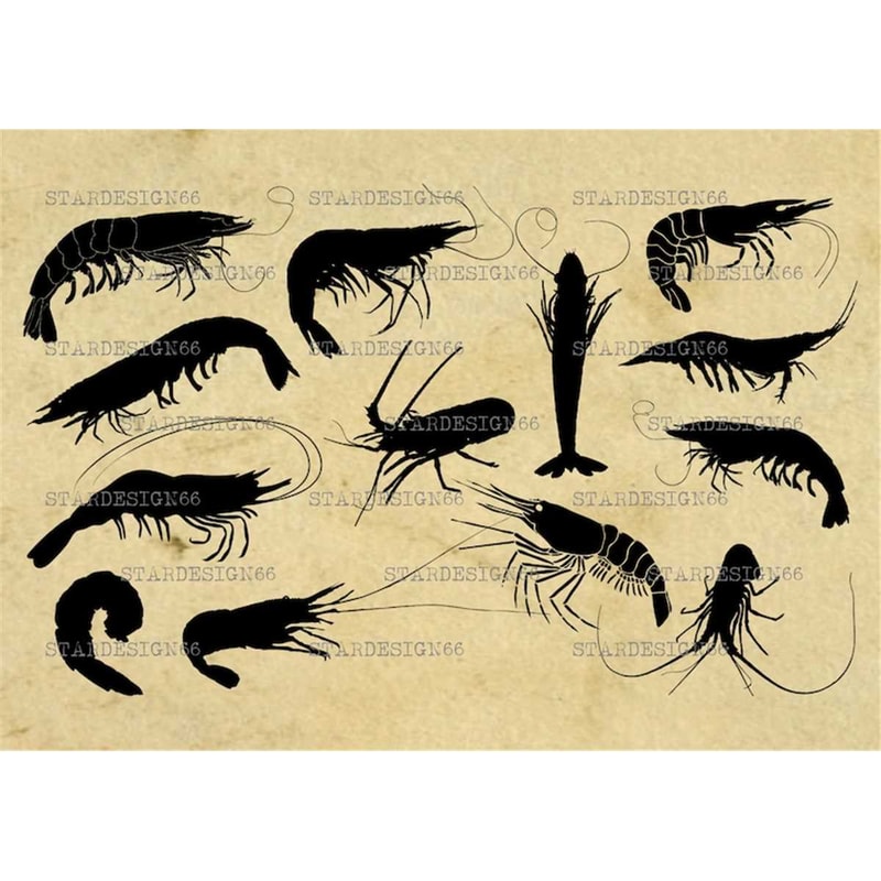 MR-1182023101150-digital-svg-png-jpg-shrimps-and-prawns-silhouette-vector-image-1.jpg