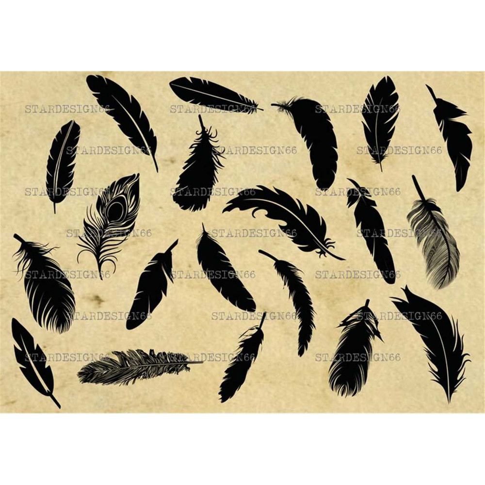 MR-1182023105939-digital-svg-png-jpg-feathers-set-vector-clipart-silhouette-image-1.jpg
