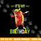 Its My Birthday Hot Dog  png, sublimation copy.jpg