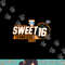 Tennessee Volunteers Sweet 16 2023 Women s Basketball png, sublimation copy.jpg